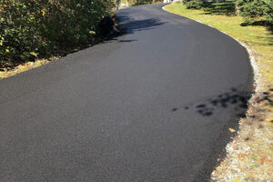Paving Companies Insights on Low-Maintenance Driveway Choices.