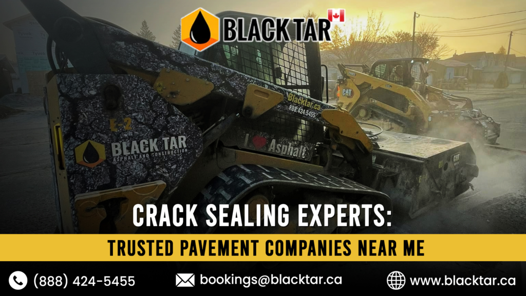 Crack Sealing Experts Trusted Pavement Companies Near Me
